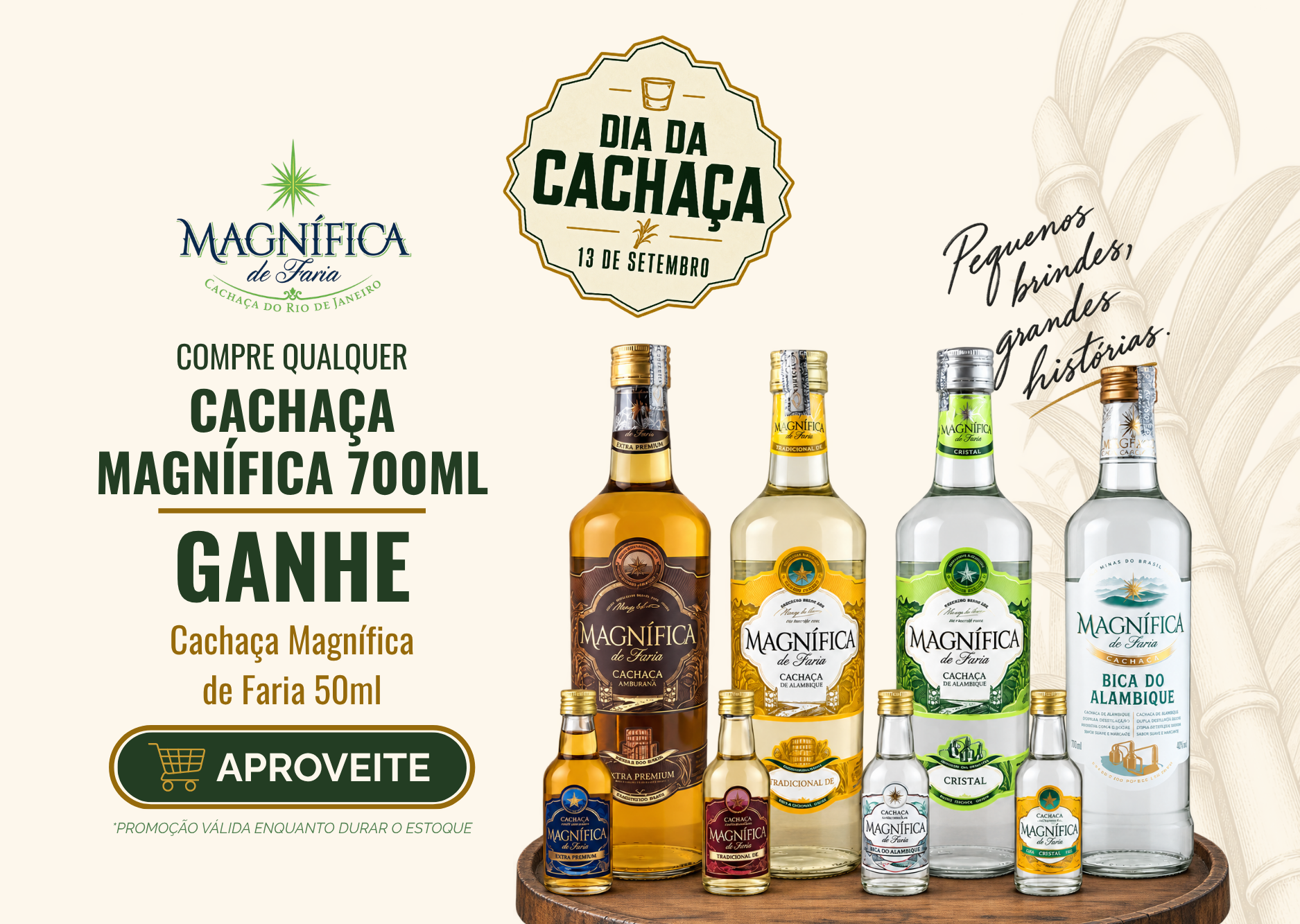 MOBILE DIA DA CACHAÇA MAGNIFICA